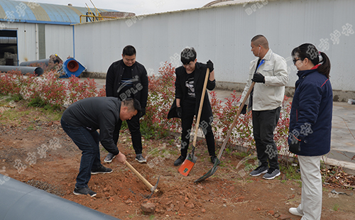 植樹活動 | 綠水青山就是金山銀山，東方爐襯組織員工義務(wù)植樹